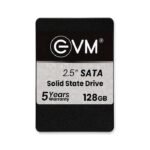 EVM 128GB SATA Best SSD Drive